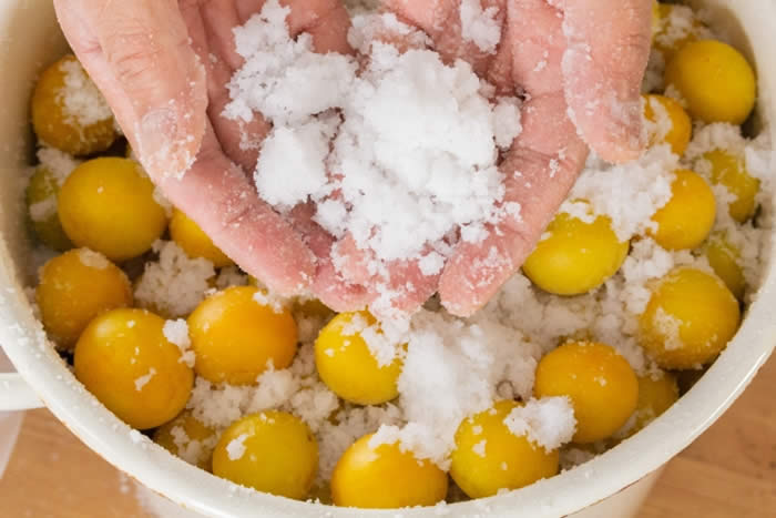 梅干し1個あたりの塩分量と食塩相当量は？